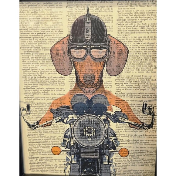 Dashschund on Motorcycle Wall Art Framed, Spike Helmet, Dictionary Background - Picture 2 of 5
